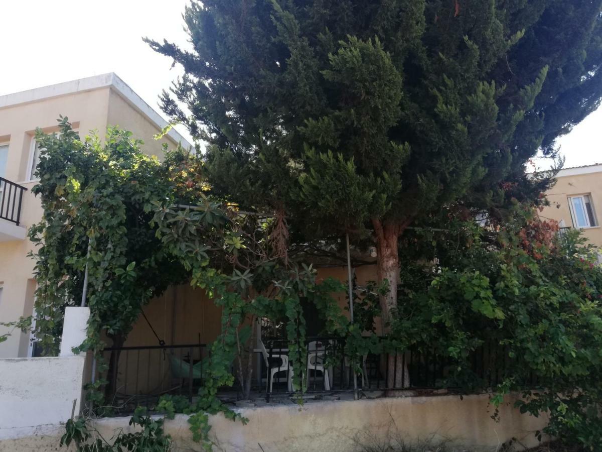 Chriselina Gottage Apartment Paphos Bagian luar foto