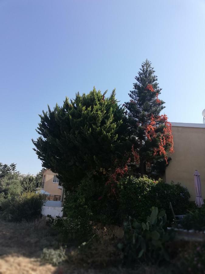 Chriselina Gottage Apartment Paphos Bagian luar foto