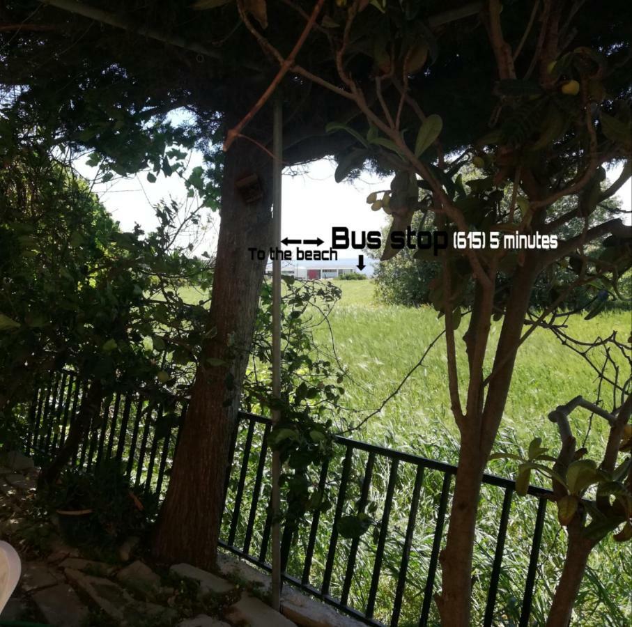 Chriselina Gottage Apartment Paphos Bagian luar foto